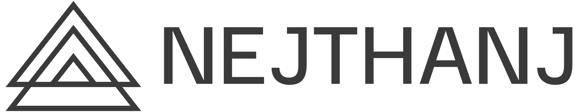 logo of nejthanj - best digital marketer of kollam